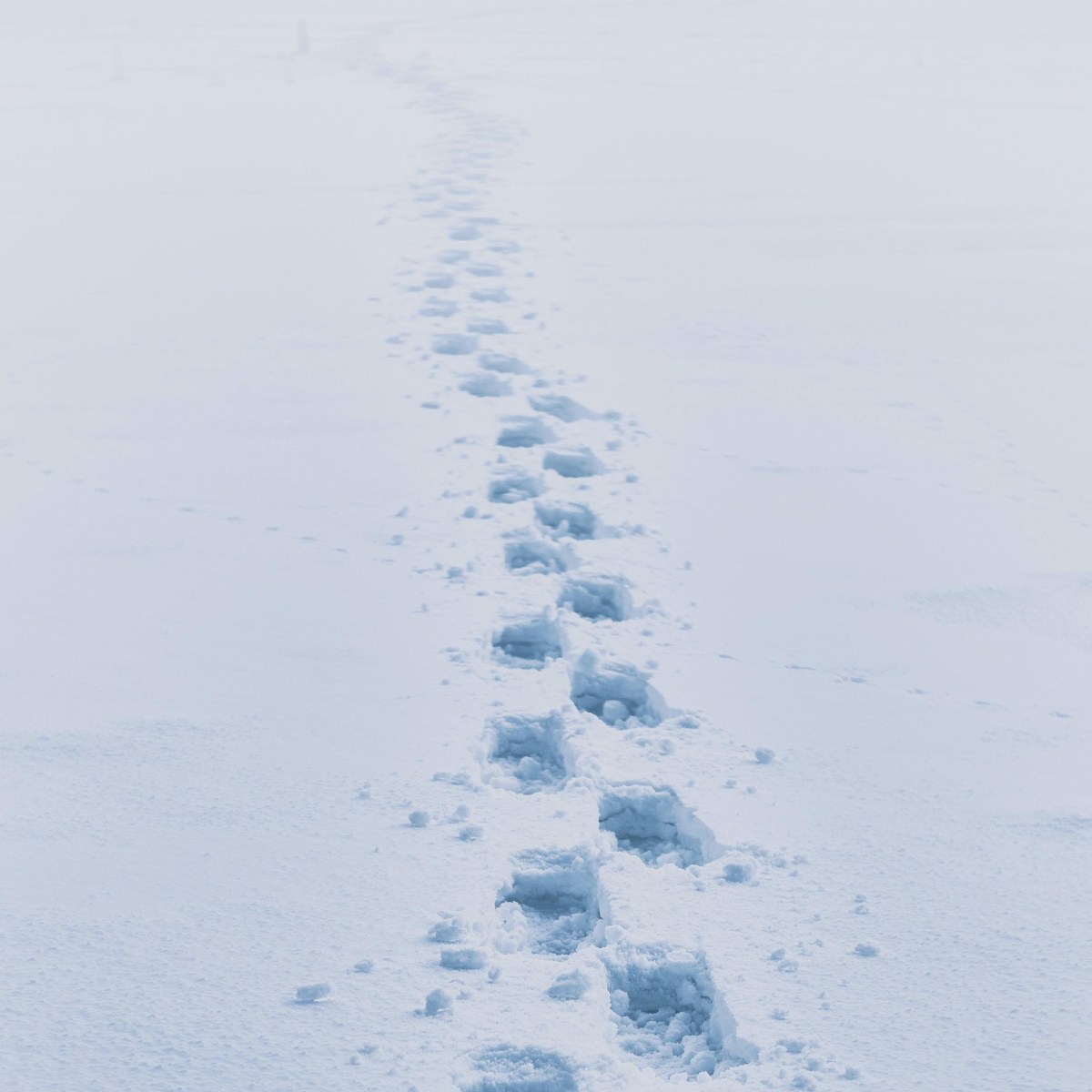 This is what you will&nbsp;remember